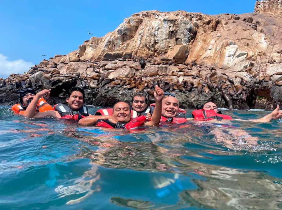 Palomino Islands Yacht Tour and swim alongside the sea lions - Why the sea lion swim is the heart of the trip