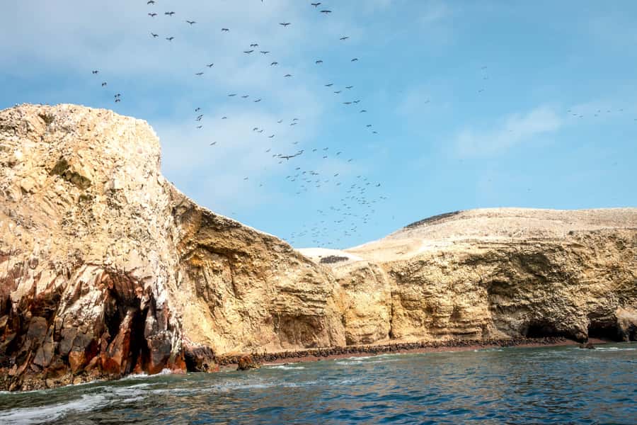 Paracas: Ballestas Island & Nature Reserve all inclusive - Ballestas Islands are about birds, noise, and sea lions