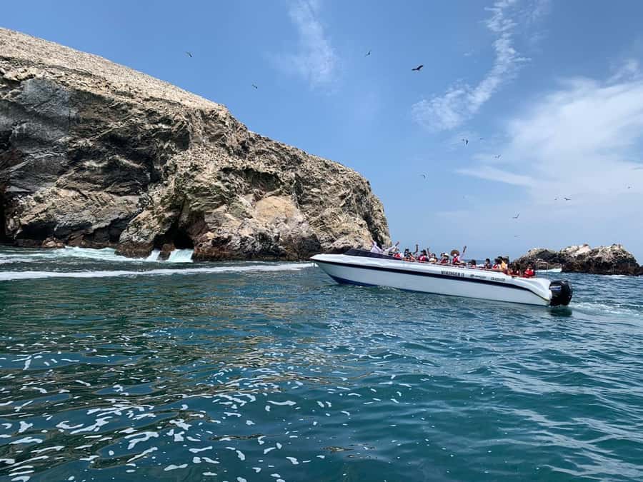 Paracas: Ballestas Island & Nature Reserve all inclusive - The reserve interpretation center adds useful context