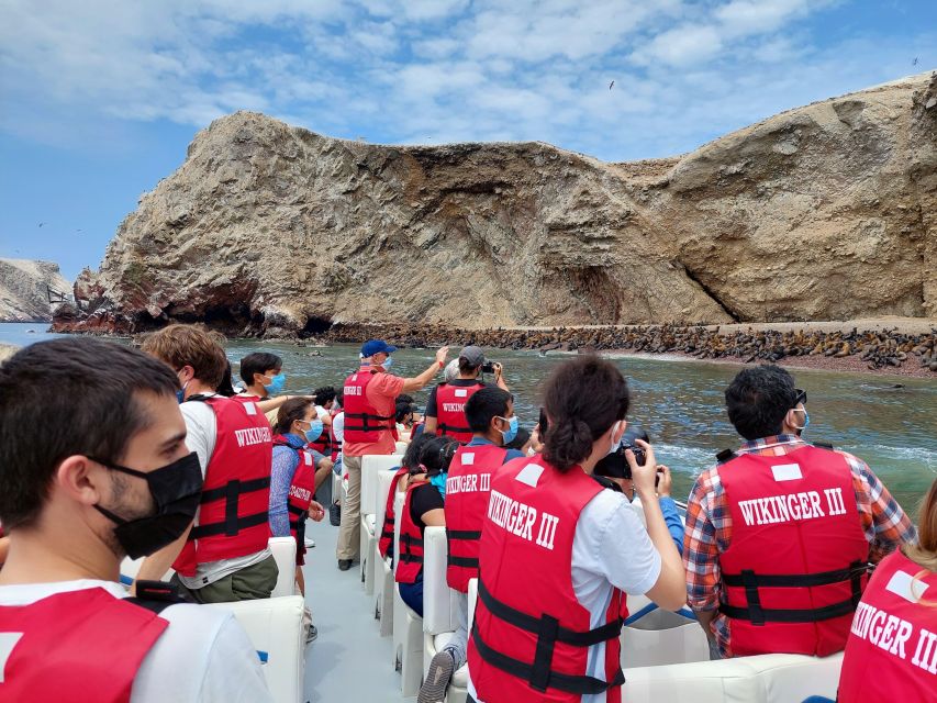 Paracas: Ballestas Island & Nature Reserve all inclusive - Catedral shows the reserve at its most dramatic