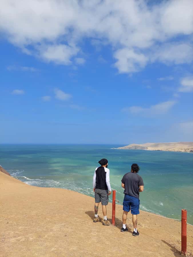 Paracas: Ballestas Island & Nature Reserve all inclusive - Hotel pickup keeps the morning simple