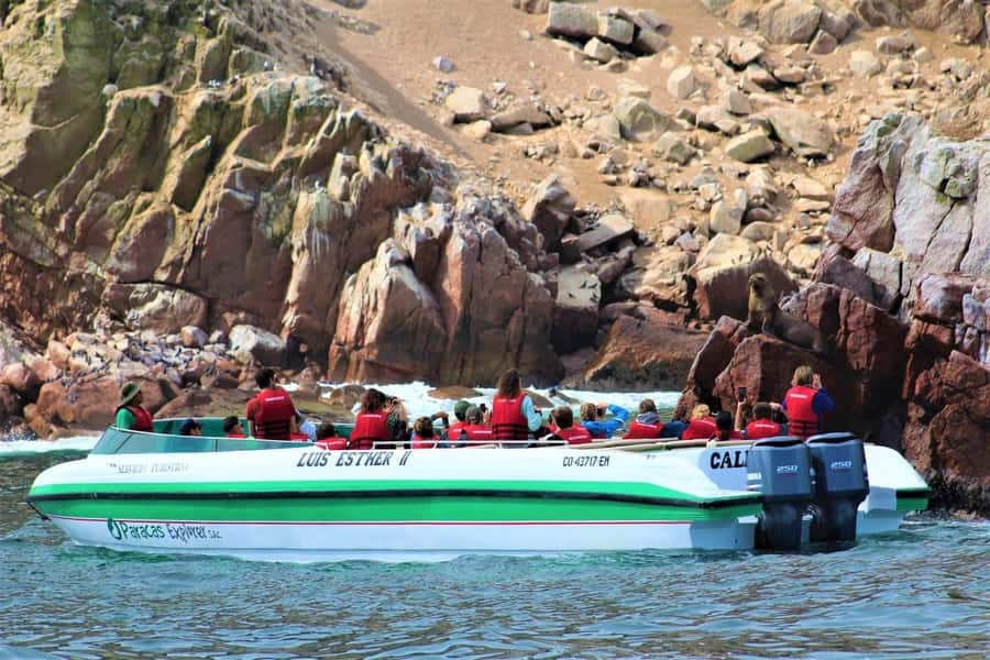 Paracas: Ballestas Islands and Candelabra of Paracas Boat - Boat comfort, safety, and the view from your seat