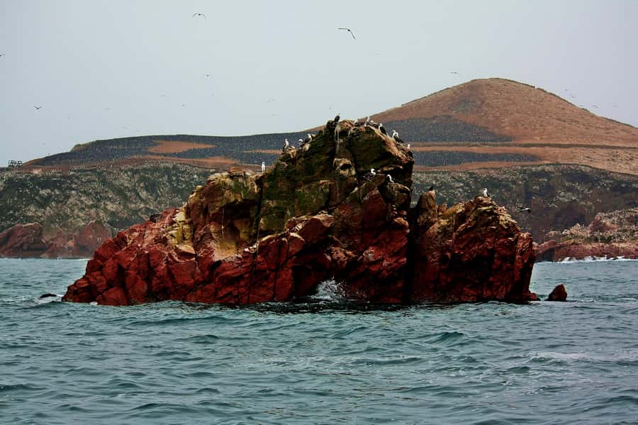 Paracas: Ballestas Islands and Candelabra of Paracas Boat - The meeting point deserves extra attention