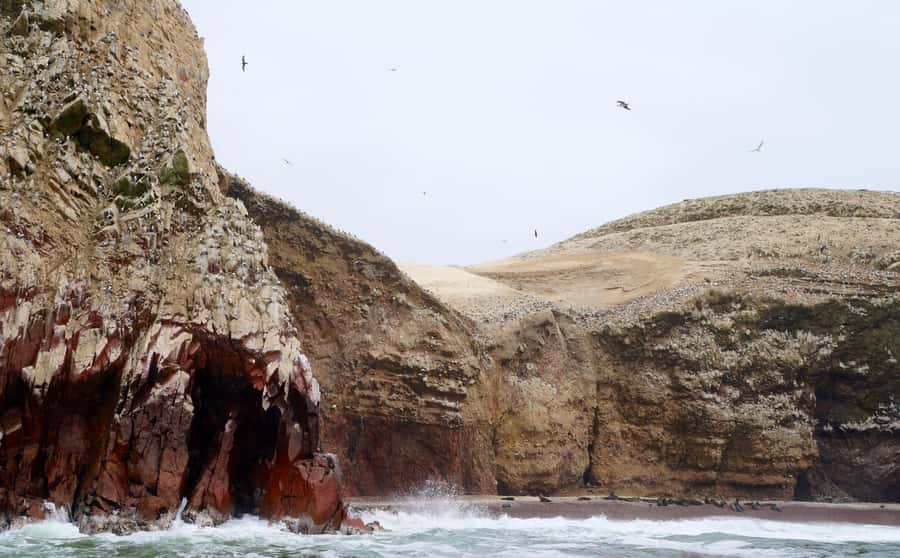 Paracas: Ballestas Islands and Candelabra of Paracas Boat - What the two-hour schedule really gives you
