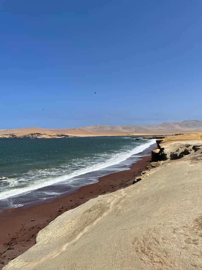 PARACAS: BALLESTAS ISLANDS AND NATIONAL RESERVE - Should you book the Ballestas Islands and reserve tour?