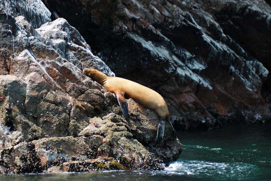 PARACAS: BALLESTAS ISLANDS AND NATIONAL RESERVE - La Mina Beach and the final stop