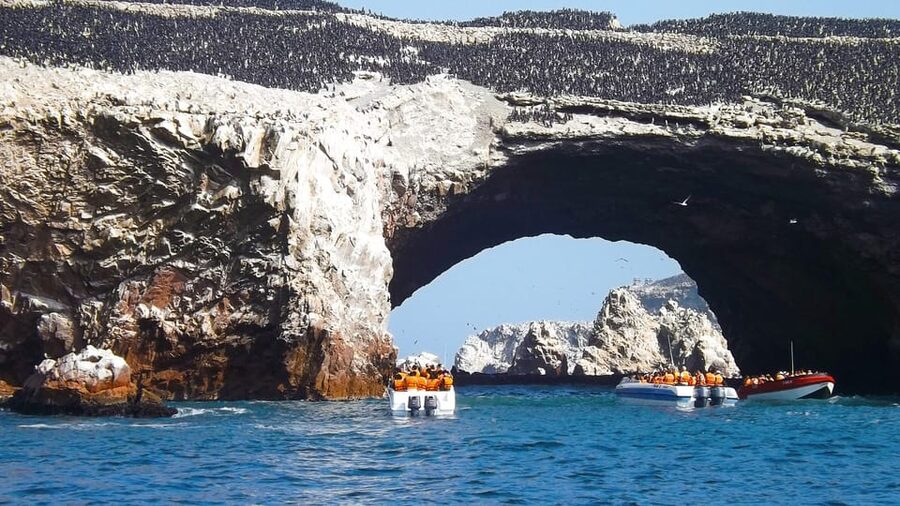 Paracas: Ballestas Islands Boat tour - Islas Ballestas - Communication and meeting point advice