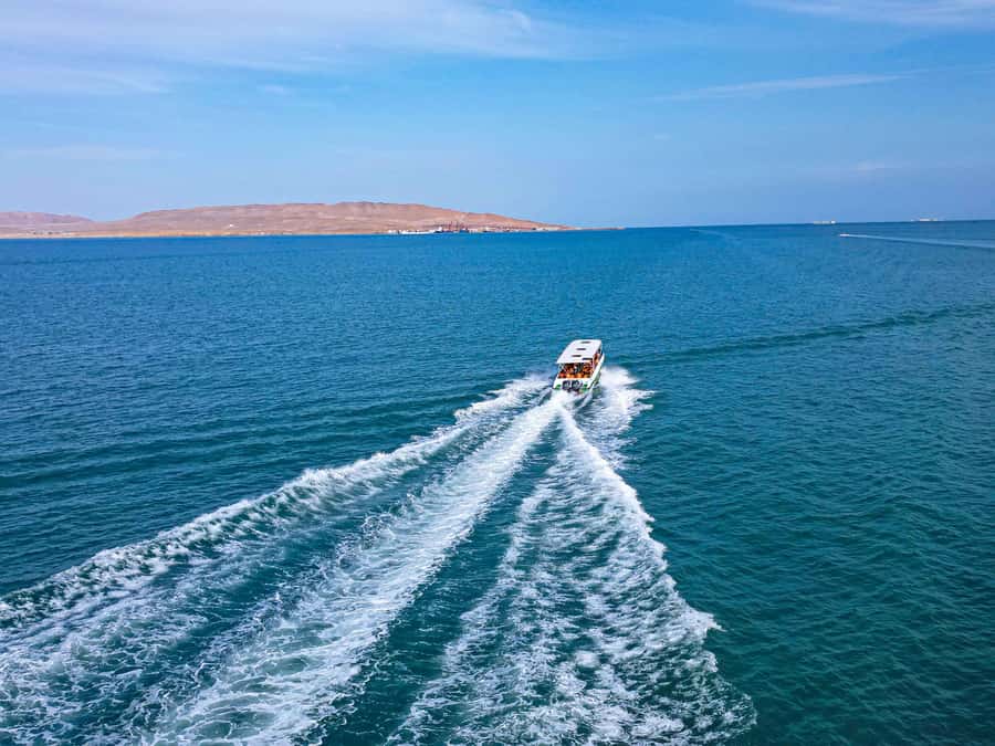Paracas: Ballestas Islands Guided Boat Tour - Why the Ballestas Islands make a good morning from Paracas