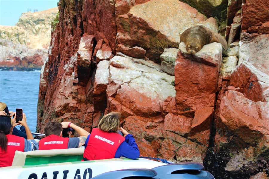 Paracas: Ballestas Islands Guided Boat Tour - Seeing the Candelabra geoglyph from the water