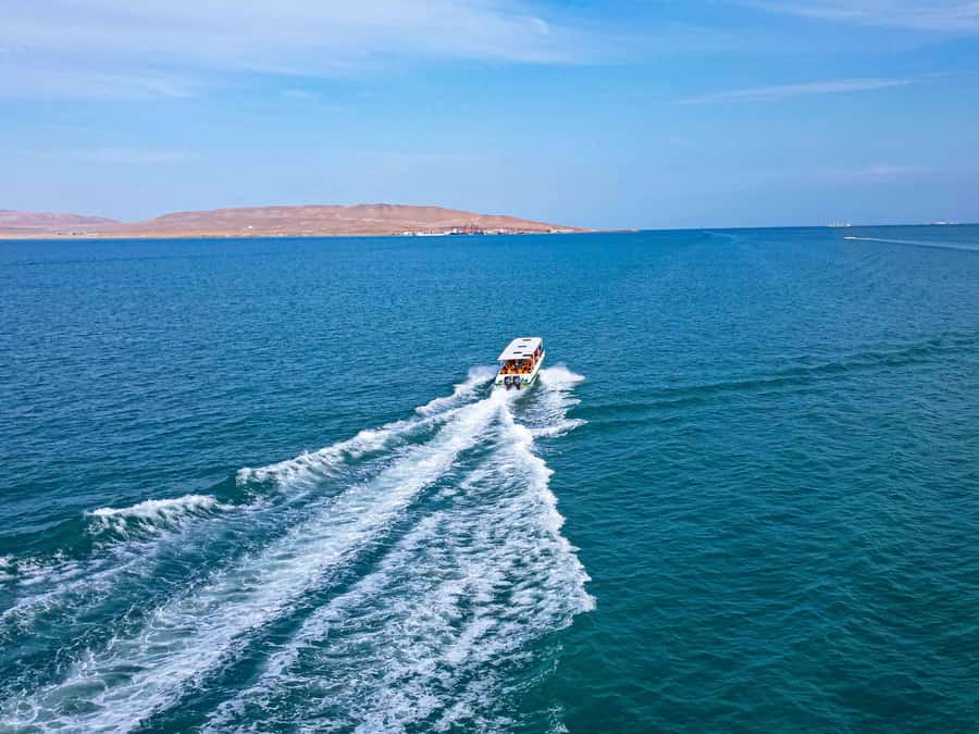 Paracas: Ballestas Islands Guided Boat Tour - Timing, cancellation, and simple planning tips
