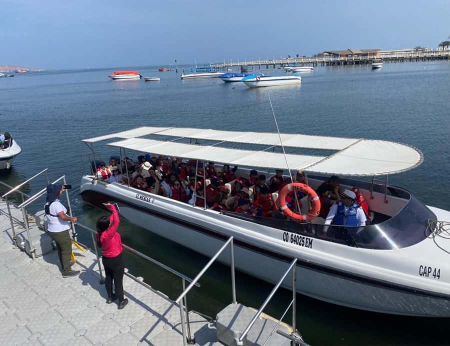Paracas: Ballestas Islands Morning Boat Tour - Key points at a glance