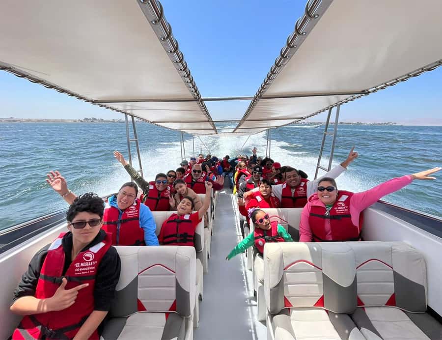 Paracas: Ballestas Islands Morning Boat Tour - The Ballestas Islands wildlife show