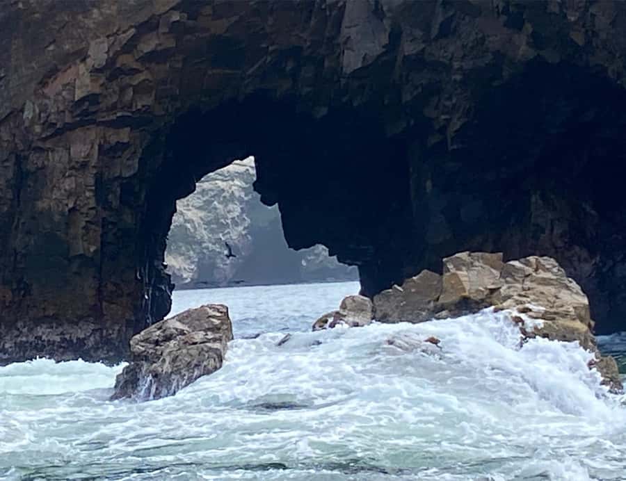 Paracas: Ballestas Islands Morning Boat Tour - How the timing affects your day
