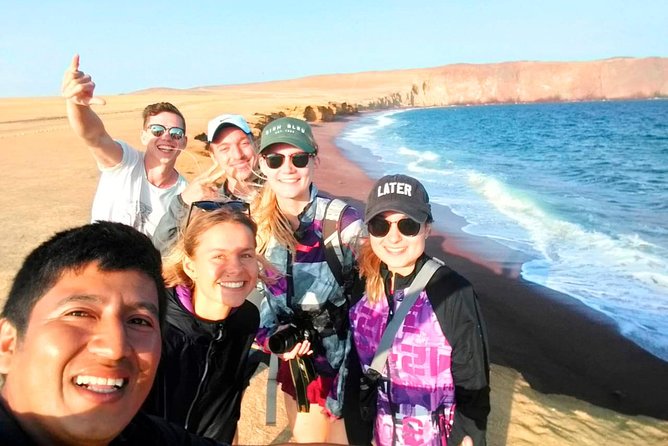 Paracas National Reserve Tour - Looking for flamingos along the coast
