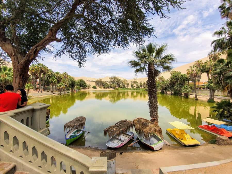 Paracas or Pisco: Private Huacachina Oasis Tour & Buggy Ride - Who will enjoy this tour most?