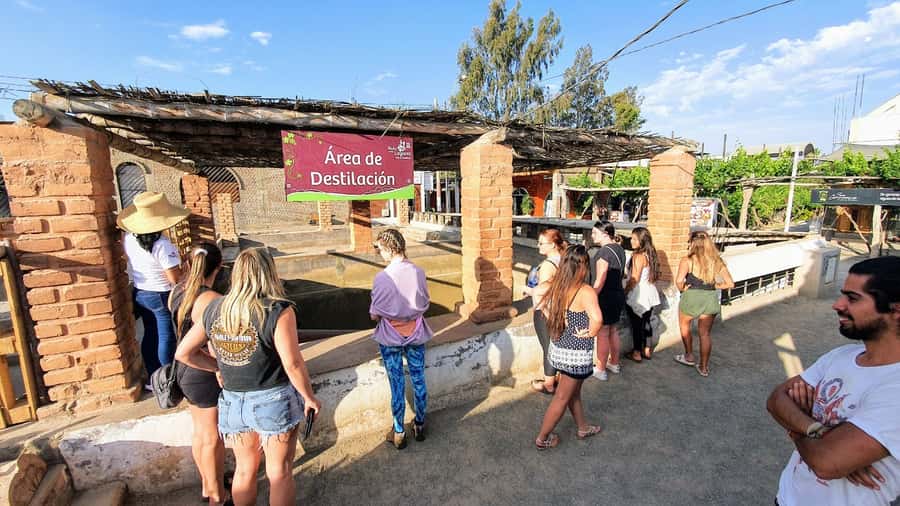 Paracas or Pisco: Private Huacachina Oasis Tour & Buggy Ride - A traditional winery and Peru’s pisco culture