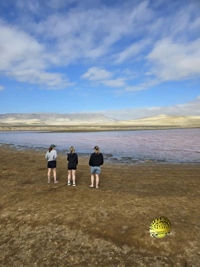 Paracas:Private Tours Paracas National Reserve all inclusive - Why Paracas Reserve deserves more than a quick stop