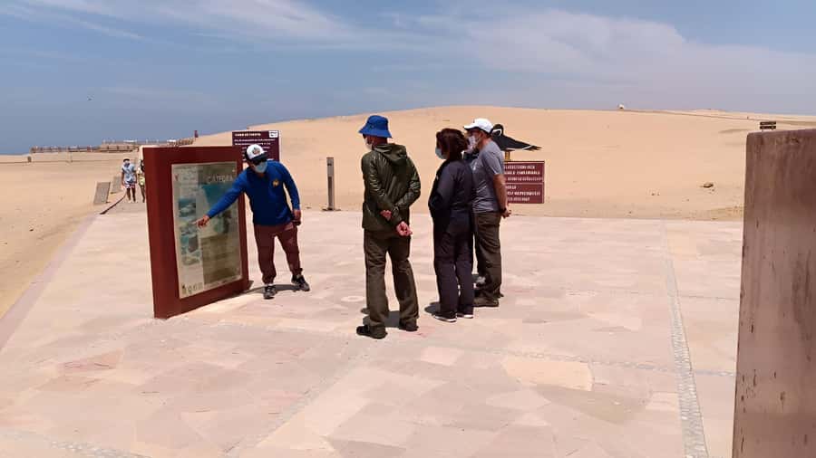Paracas:Private Tours Paracas National Reserve all inclusive - Flamingos and the short walk near the coast