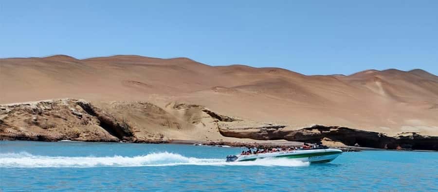 Paracas: speedboat BALLESTAS ISLANDS TOUR - Meeting at Plaza El Chaco