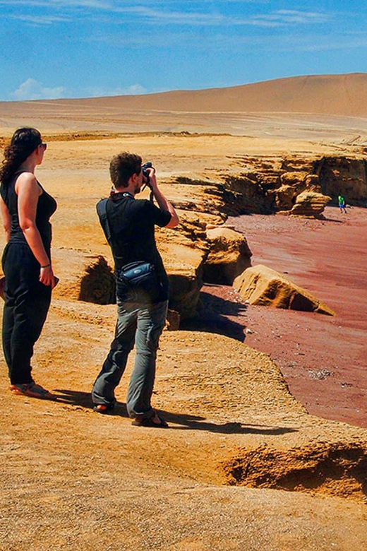 PARACAS|| Sunset trekking in the Paracas National Reserve - Returning by Bus After the Sunset