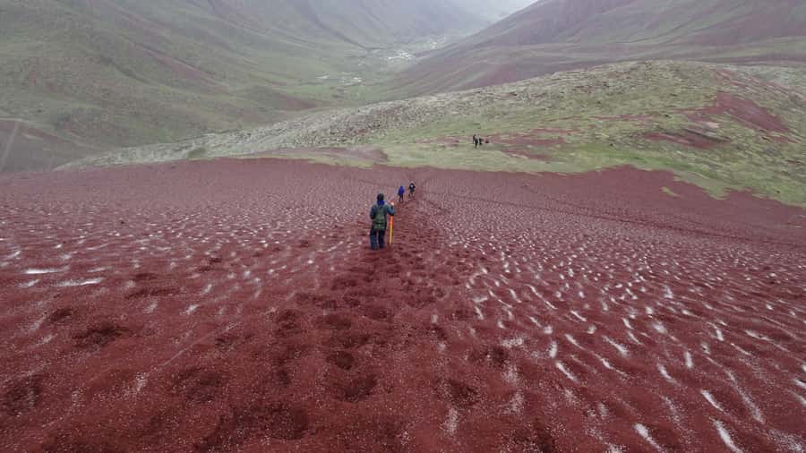 Peru: Rainbow Mountain and Red Valley View Point Tour - Lunch and the long ride back to Cusco