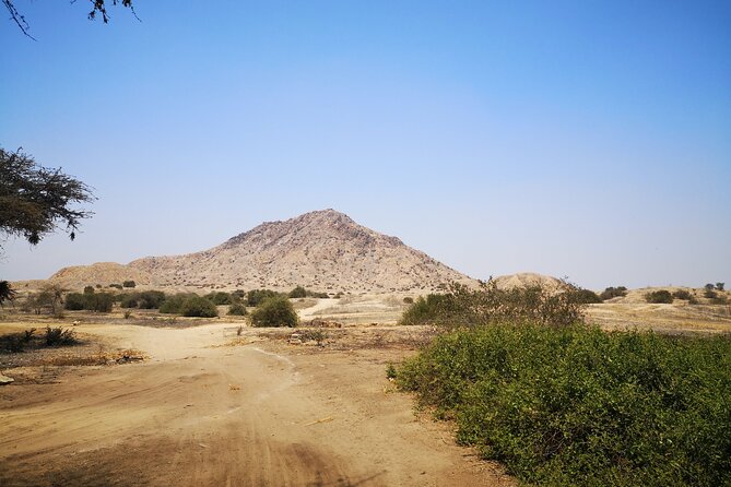 Piramids of Tucume Tour, Sican Museum and Lambayeque city tour - Booking, cancellation, and day-of-tour details