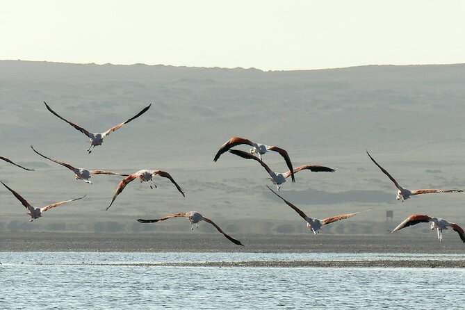 Premium Trekking Golden Shades - Reaching Mendieta Beach and returning to Paracas