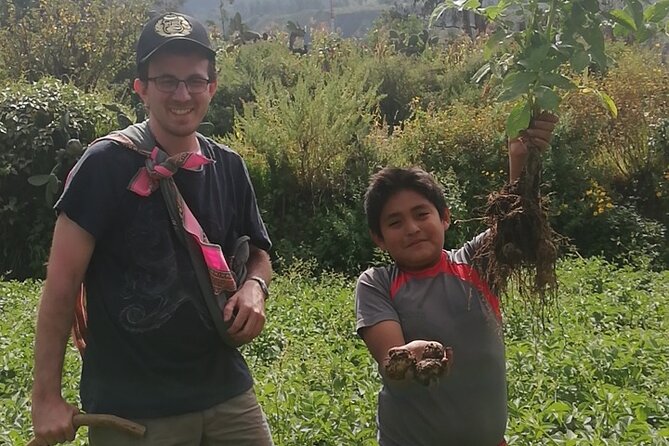 Private 3 Day Colca Canyon Trekking tour (superior Service) - Day three: the 4:00 a.m. climb out