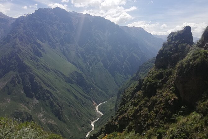 Private 3 Day Colca Canyon Trekking tour (superior Service) - Vicuñas on the road back to Arequipa