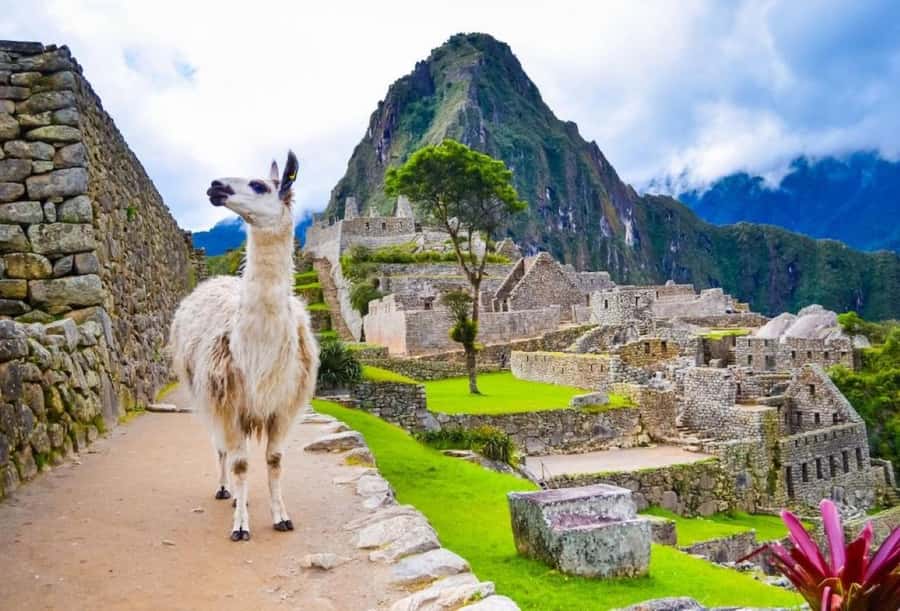 Private Guide in Machu Picchu for 3 Hours - Who will enjoy this three-hour tour most?