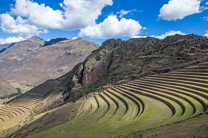 Private Ollantaytambo, Pisac Ruins Tour with Farm Visit, Gourmet Picnic Lunch - A Sacred Valley farm and a picnic made nearby