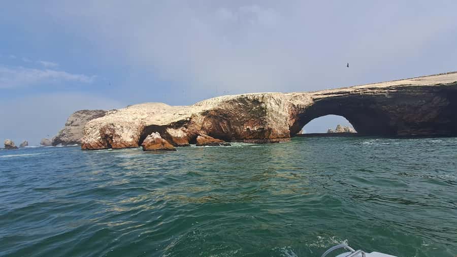 Private Tour: Ballestas Island & Huacachina Oasis, from Lima - Who should book this Lima day trip
