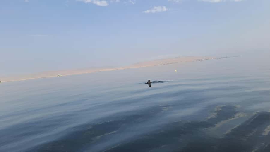 Private Tour: Ballestas Island & Huacachina Oasis, from Lima - The early departure from Lima