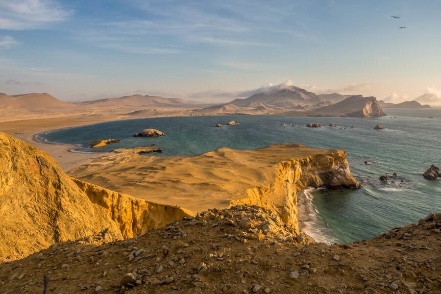 Private Tour: Ballestas Island & Huacachina Oasis, from Lima - Buggy rides and sandboarding on the dunes