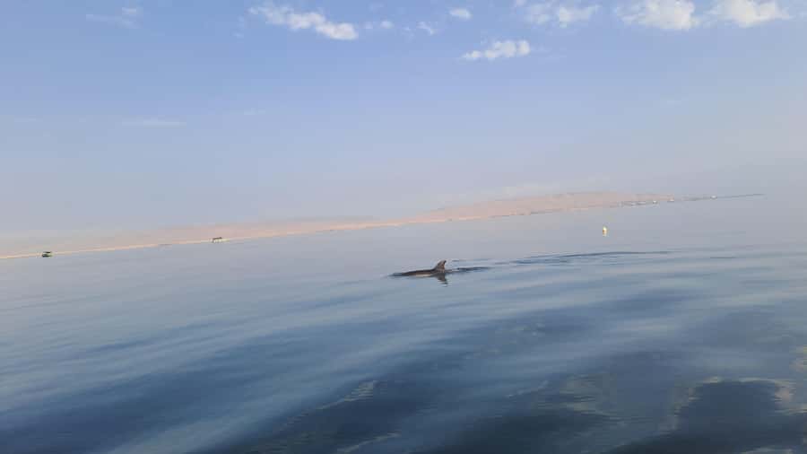 Private Tour: Ballestas Island & Huacachina Oasis, from Lima - What the $269 price really buys