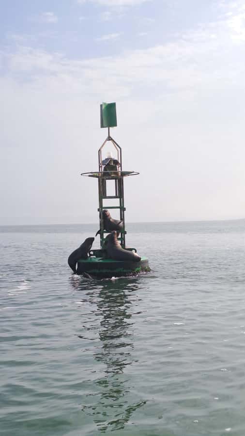 Private Tour: Ballestas Island & Huacachina Oasis, from Lima - Practical packing and comfort advice