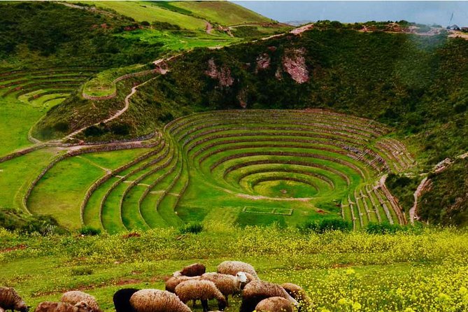 Private Tour Sacred Valley, Chinchero, Maras Moray, Ollantaytambo - Pisac terraces and cemetery: the final archaeological stop
