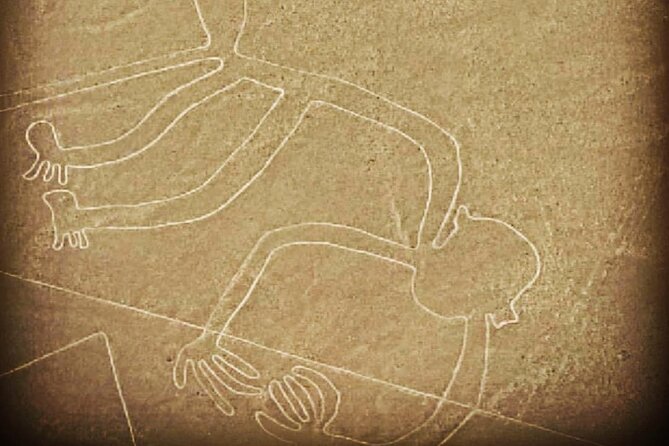 Private Tour to the Astonished Nazca Lines and Huacachina Oasis - Who should book this experience?