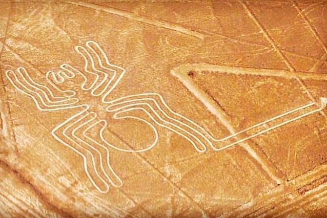 Private Tour to the Astonished Nazca Lines and Huacachina Oasis - The Nazca Lines from a small plane