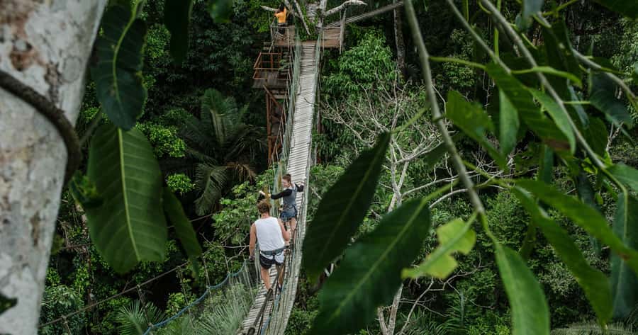 Puerto Maldonado: 2-Day Peruvian Tambopata Jungle Trip - Zip-lining through the forest
