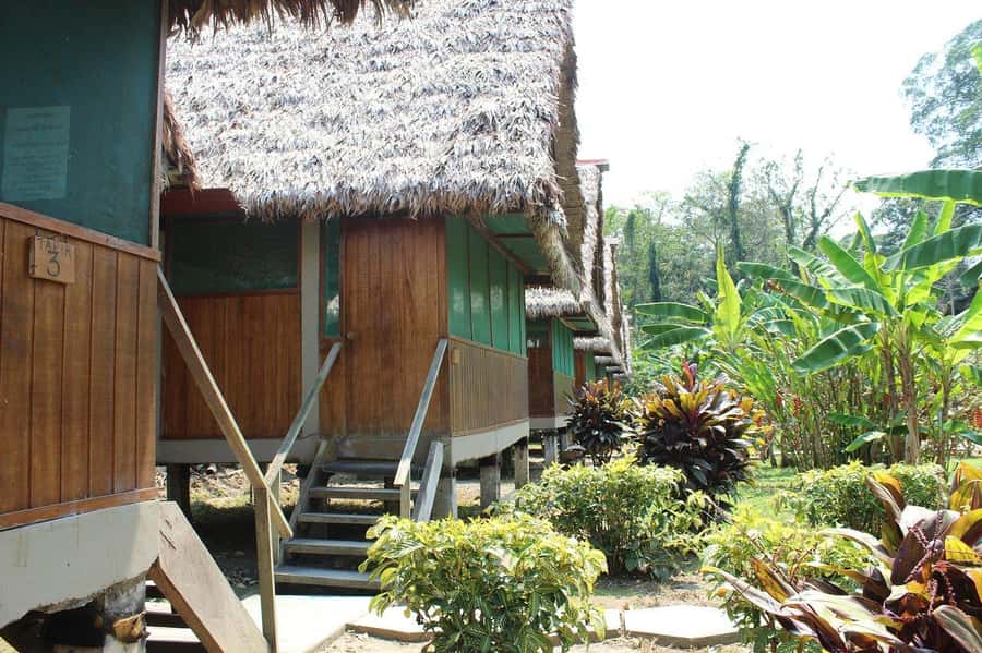 Puerto Maldonado: 2-Day Peruvian Tambopata Jungle Trip - Searching for caimans on the Madre de Dios