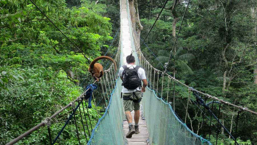 Puerto Maldonado: 2-Day Peruvian Tambopata Jungle Trip - What the $280 price really covers