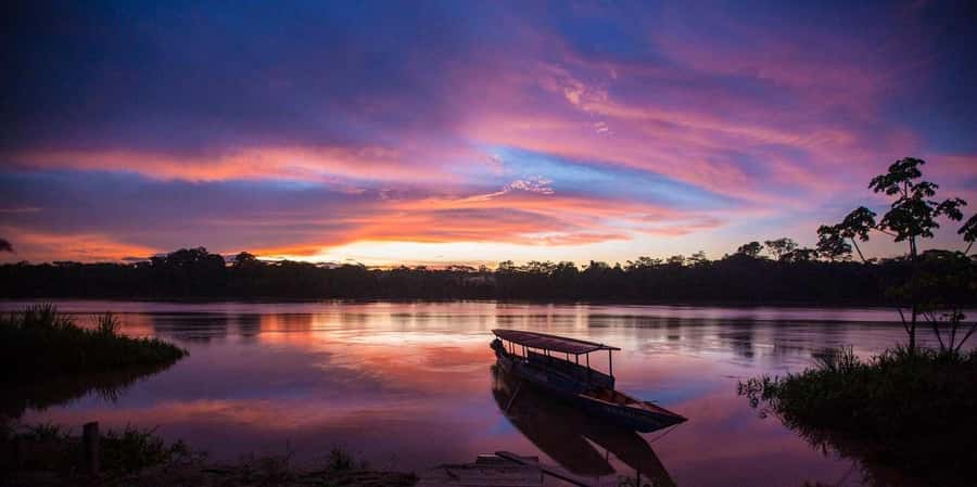Puerto Maldonado: 3-hour sunset boat ride - The riverbank after nightfall