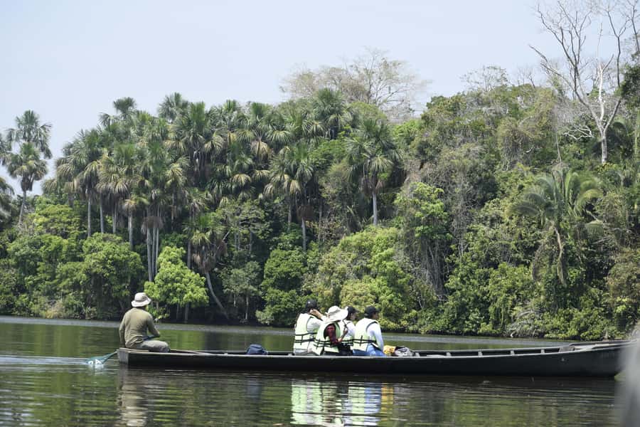 Puerto Maldonado: 4-Day Tambopata Rainforest Tour - What makes this tour worth considering
