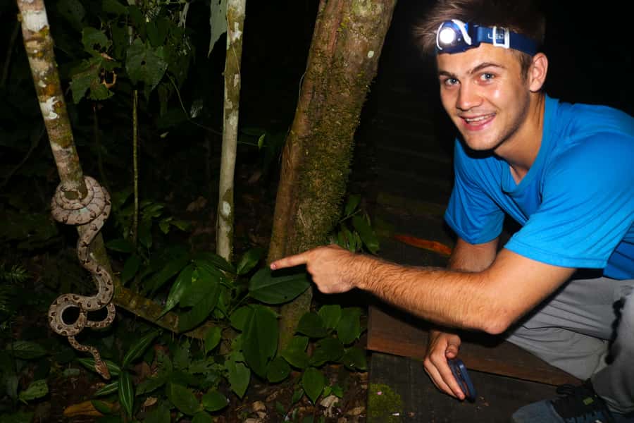 Puerto Maldonado: Jungle Night Tour with Sloths & Tarantulas - Why Tambopata changes after sunset