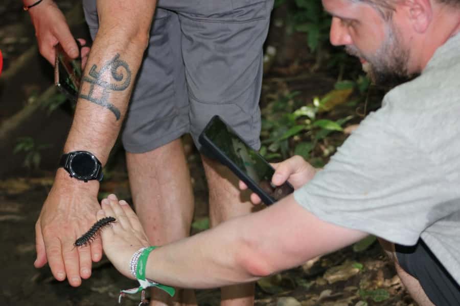 Puerto Maldonado: Jungle Night Tour with Sloths & Tarantulas - Tarantulas, sloths, and the art of patient looking
