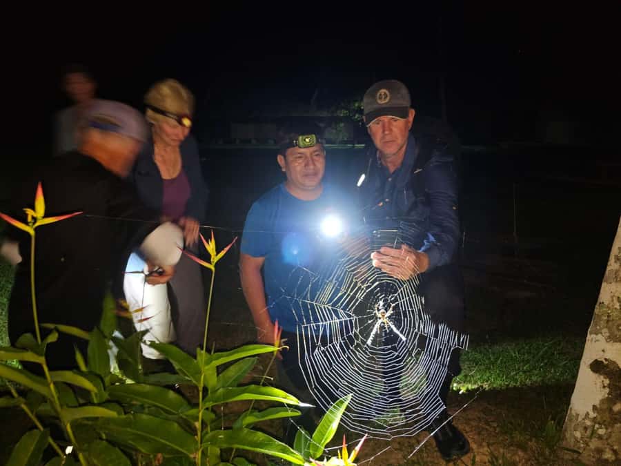 Puerto Maldonado: Jungle Night Tour with Sloths & Tarantulas - Leaving Puerto Maldonado for the evening