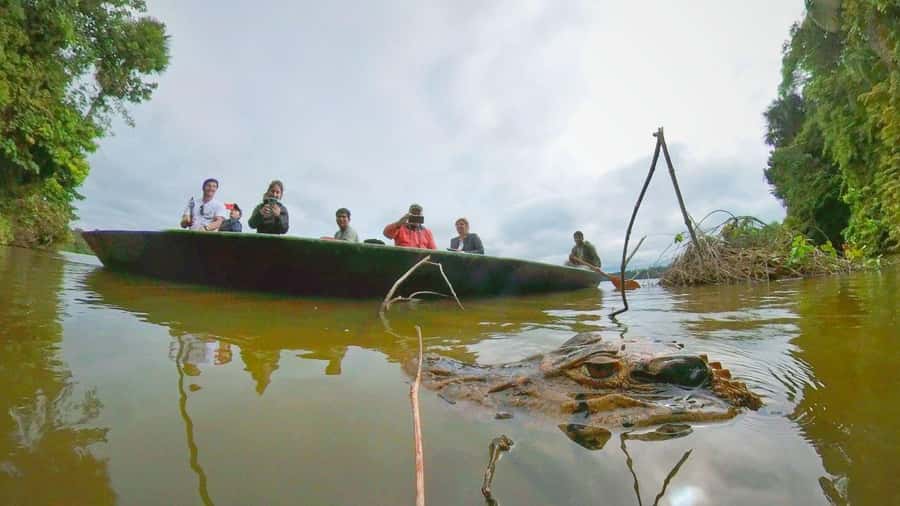 Puerto Maldonado: Lago Sandoval Day Trip with Lunch - Why Lago Sandoval makes a good day trip from Puerto Maldonado