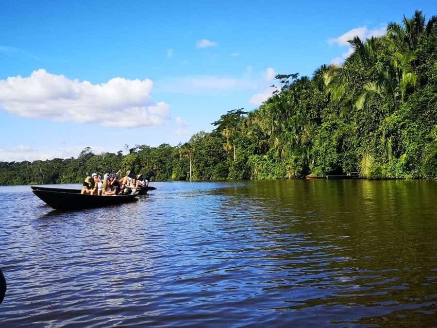Puerto Maldonado: Lago Sandoval Day Trip with Lunch - Meeting at Av. Leon Velarde 138