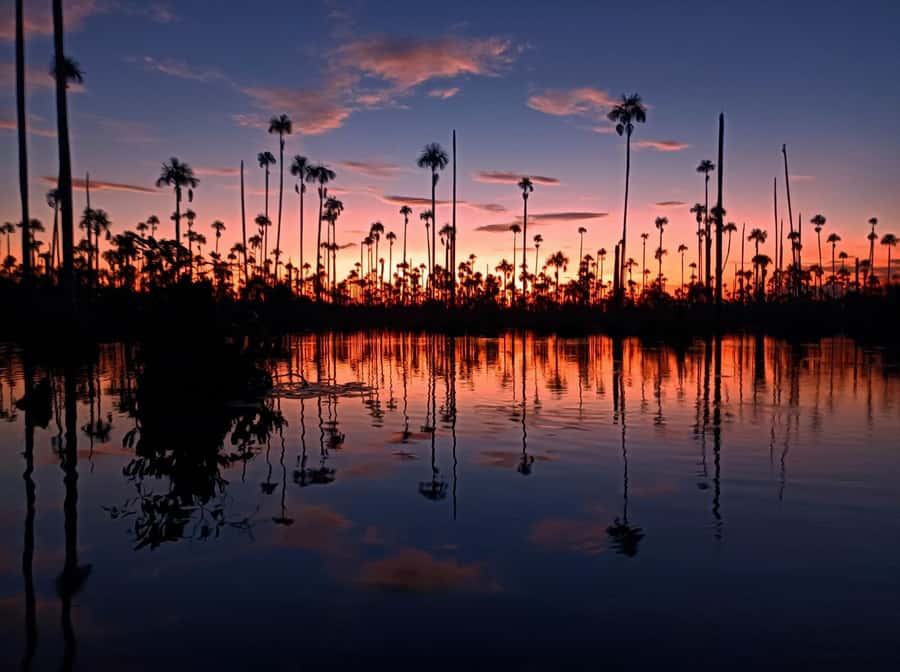 Puerto Maldonado: Lake Yacumama sunset and piranha fishing - Key points at a glance